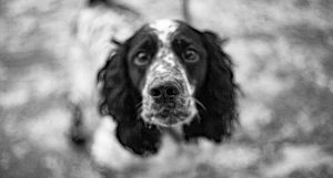 Микрорайон "Поток"