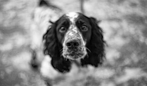 Микрорайон "Поток"