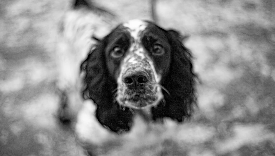 Микрорайон "Поток"