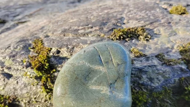 Необычные продажи