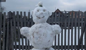 Снеговики в Барнауле