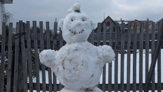 Снеговики в Барнауле