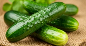 Огурец