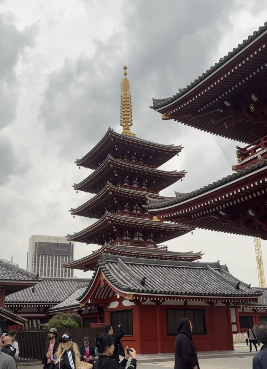 Храм Мэйдзи. Яна Ефременко и ее путешествие в Японию.