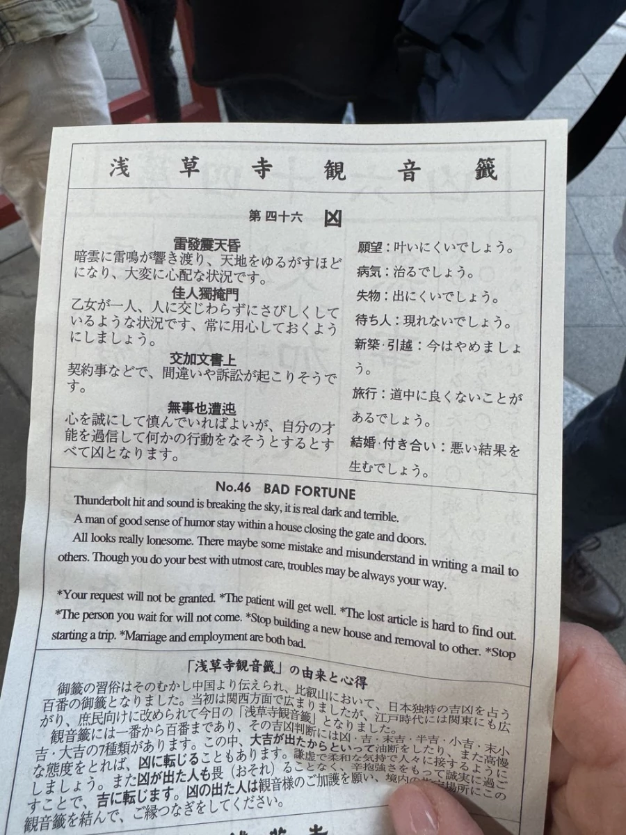 Храм Мэйдзи. Яна Ефременко и ее путешествие в Японию.