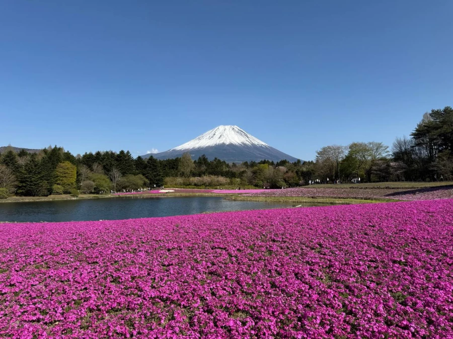 Фудзияма. Яна Ефременко и ее путешествие в Японию.