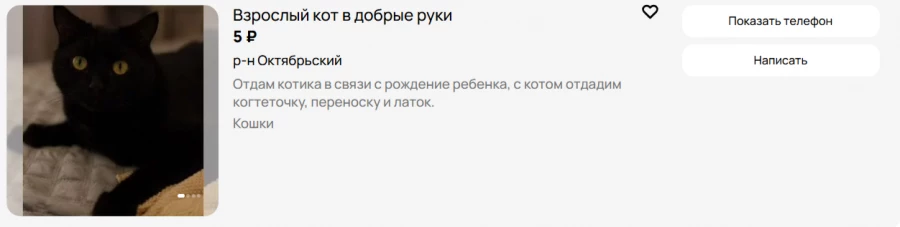 Отдают кота в связи с рождением ребенка