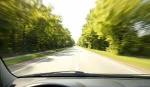 Поездка. Скорость