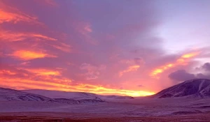 Горные степи Алтая 