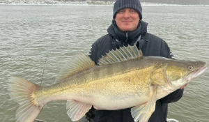 С царским судаком.