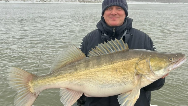 С царским судаком.