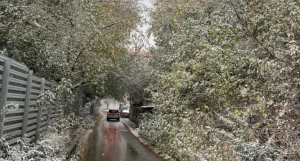 Ноябрь в Барнауле