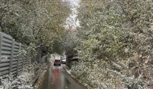 Ноябрь в Барнауле