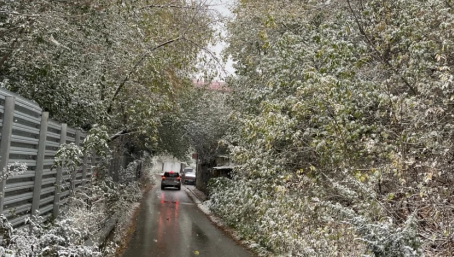 Ноябрь в Барнауле