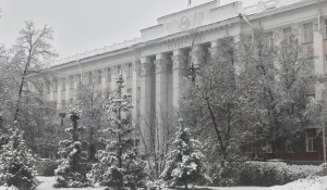 Ноябрь в Барнауле