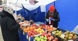 Продовольственная ярмарка в Барнауле.