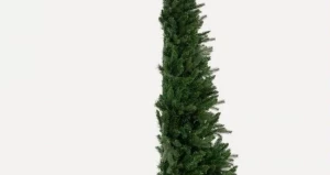 Половинка елки