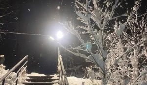 Снежный Шерегеш