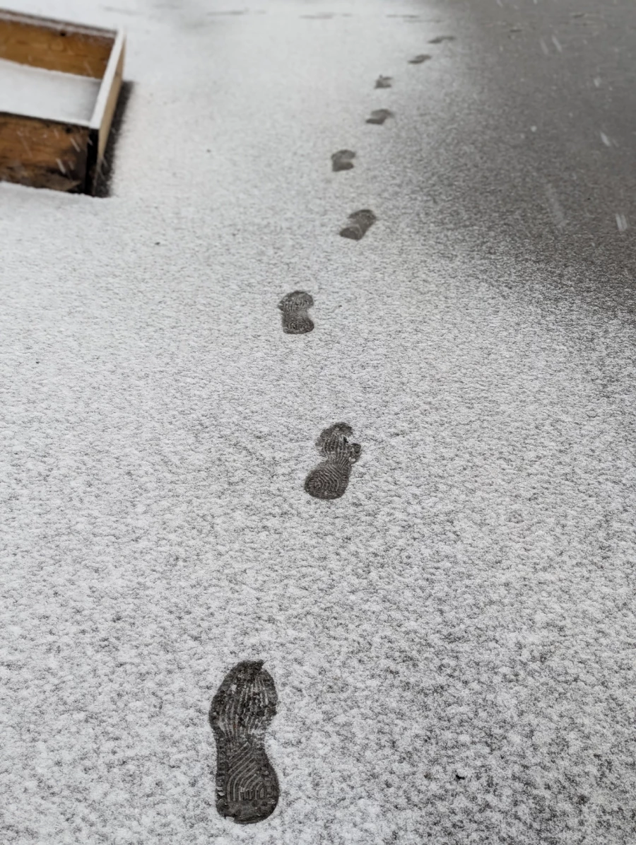 Снегопад в Барнауле.