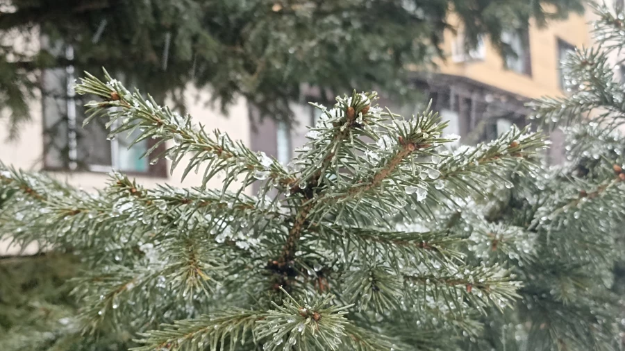 Снегопад в Барнауле.