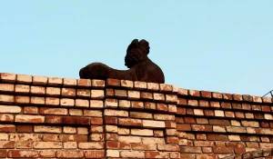 Львы дома Сухова