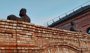 Львы дома Сухова