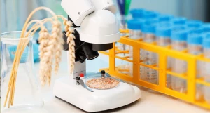 Исследование зерна