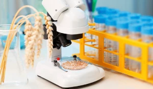 Исследование зерна