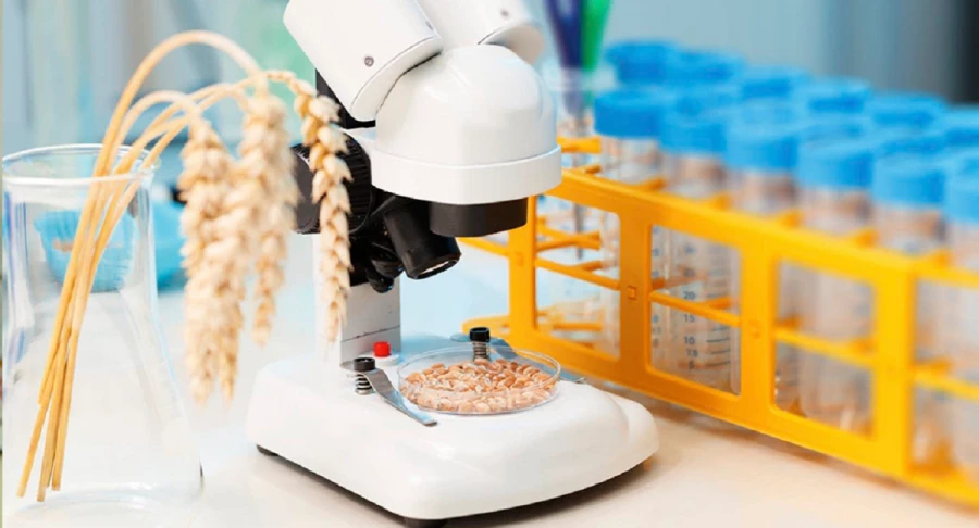 Исследование зерна