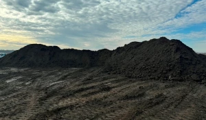 В Барнауле бизнесмены украли 3 тысячи кубометров земли.