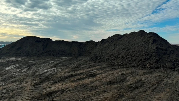 В Барнауле бизнесмены украли 3 тысячи кубометров земли.