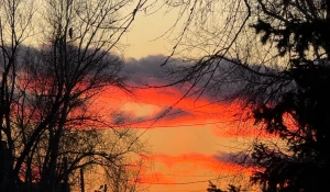 Закат в Барнауле.