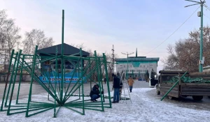 В Бийске начали собирать главную городскую елку.