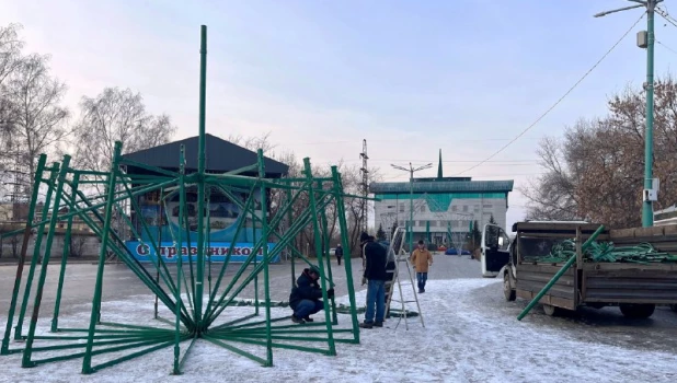 В Бийске начали собирать главную городскую елку.