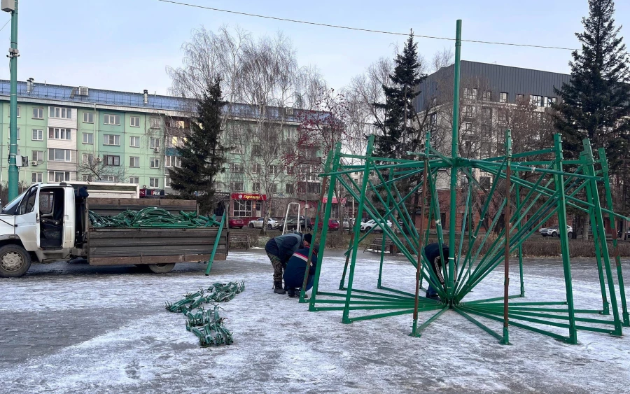 В Бийске начали собирать главную городскую елку.