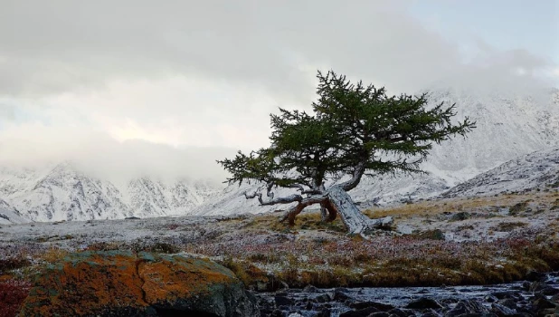 Красочный Алтай