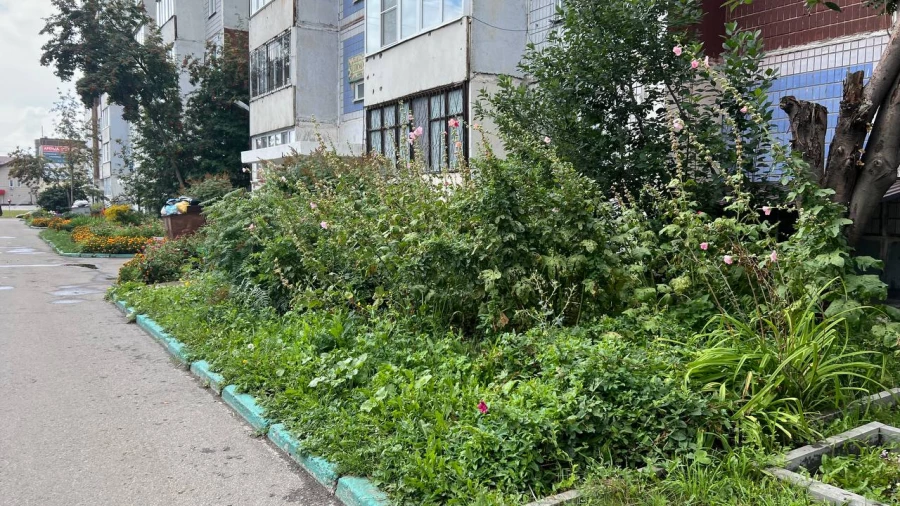 Дом по адресу ул. Попова, 194 в Барнауле.