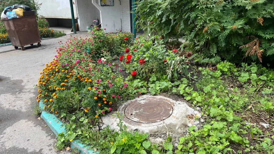 Дом по адресу ул. Попова, 194 в Барнауле.