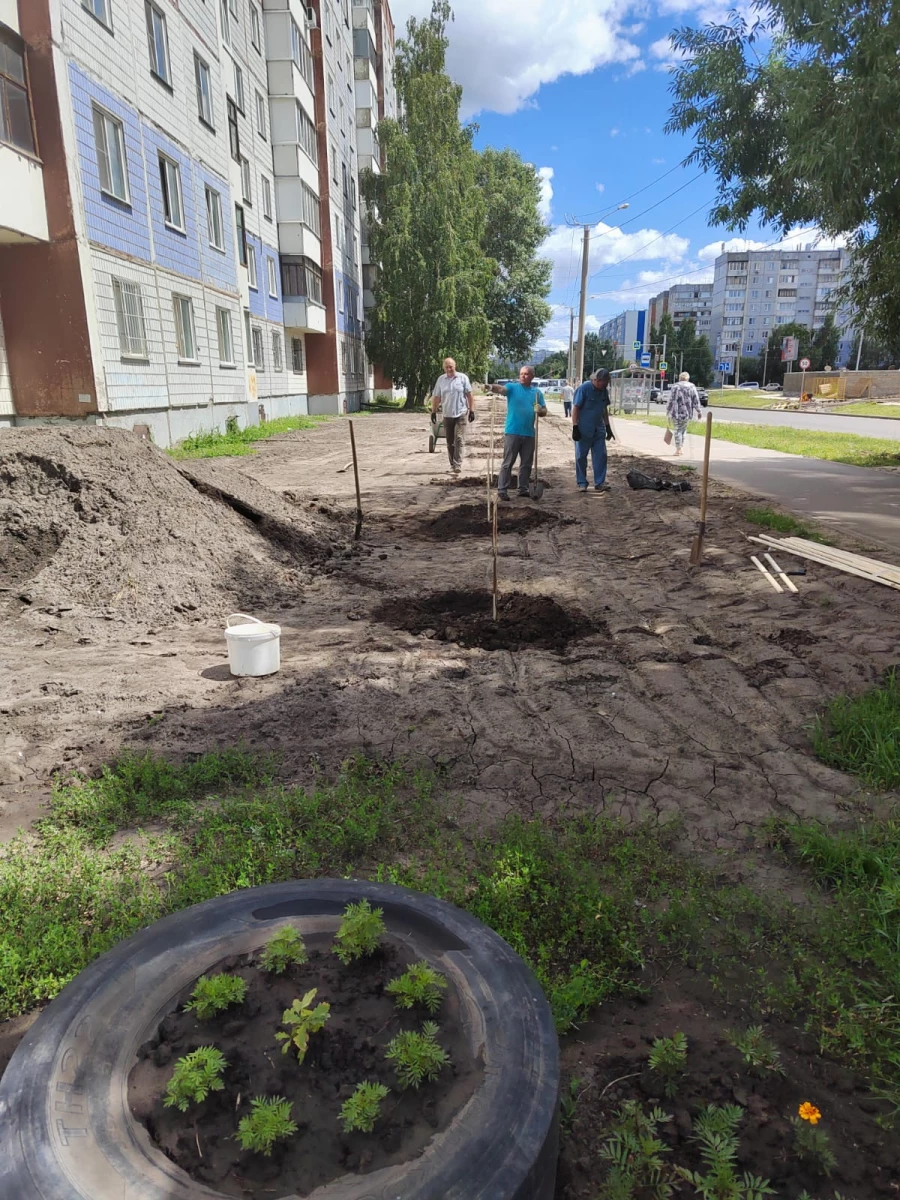 Жители дома на ул. Попова, 194 в Барнауле сажали рябины.