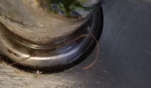 Черви в питьевом кране барнаульской школы.