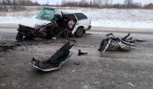 На трассе Барнаул —  Алейск в ДТП погибли женщина и 14-летний ребенок