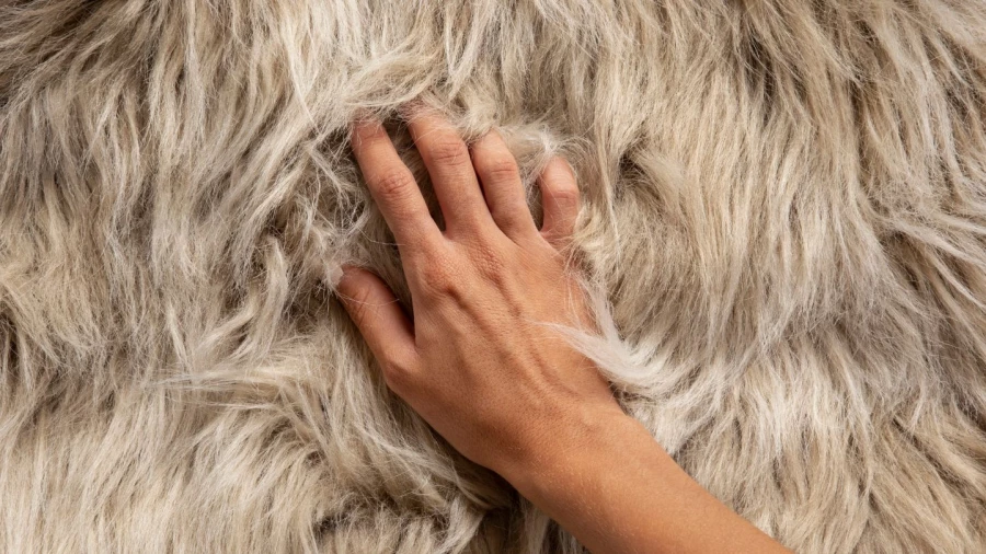 Шерсть верблюда.