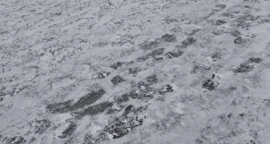 Гололед у корпуса «Д» АлтГУ