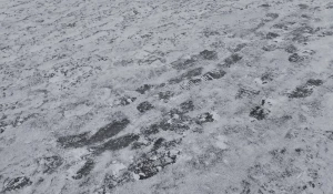 Гололед у корпуса «Д» АлтГУ