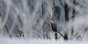 Зима в Алтайском крае 