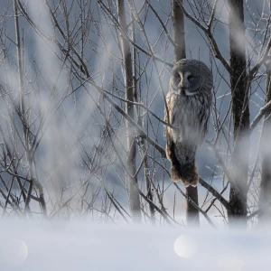 Зима в Алтайском крае 
