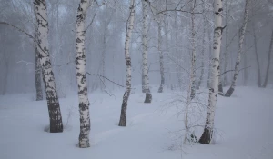 Зима в Алтайском крае 