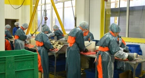 Рыбоперерабатывающее предприятие «ДИАФ».