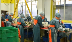 Рыбоперерабатывающее предприятие «ДИАФ».