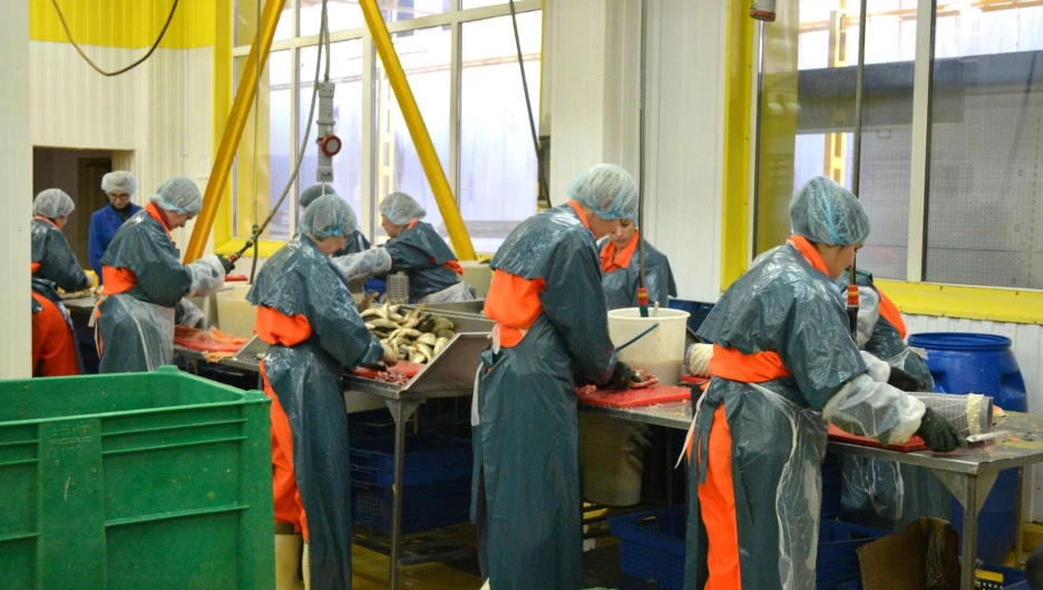 Рыбоперерабатывающее предприятие «ДИАФ».